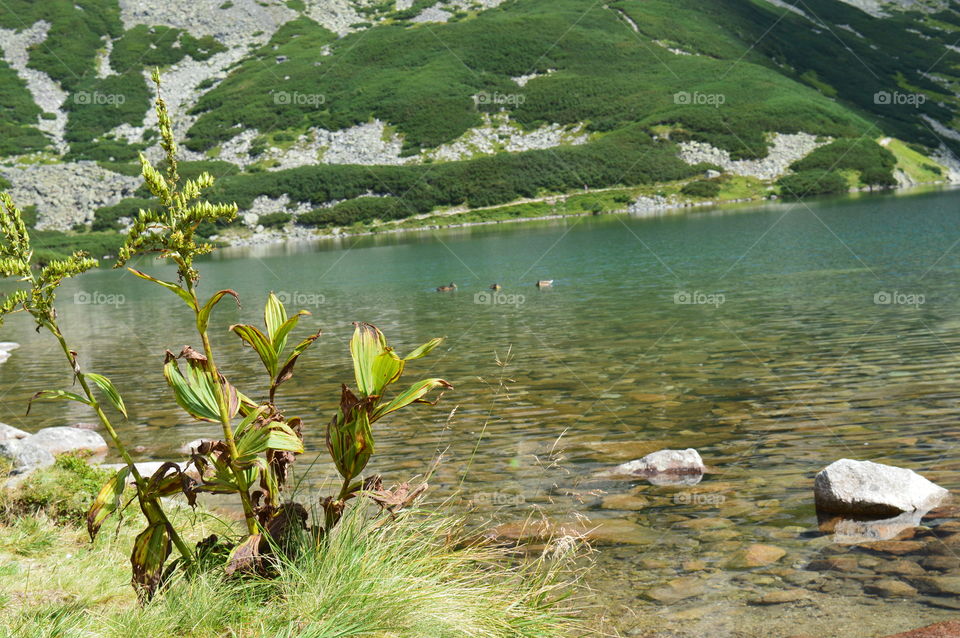 Hala Gąsienicowa  -Tatra Mountains .  Zakopane, Poland