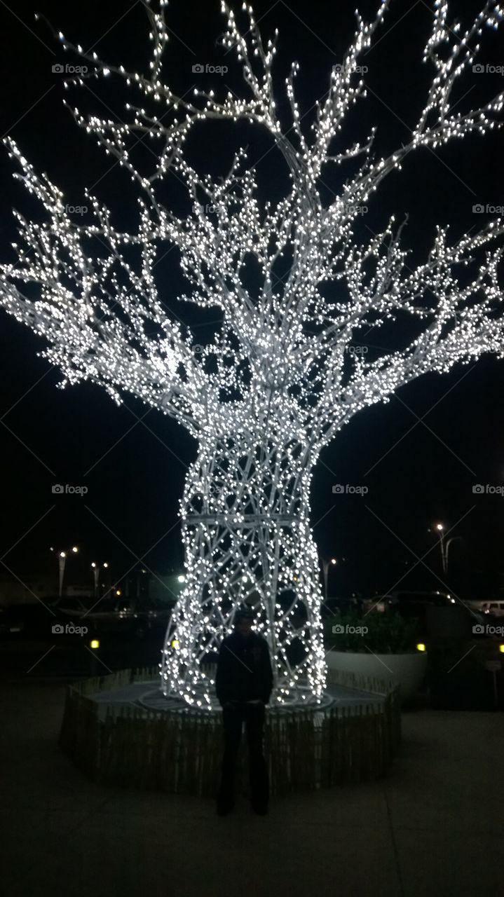 tree of light