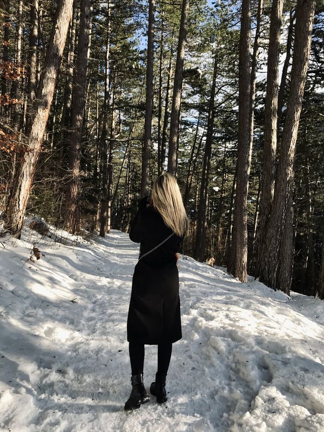 In the woods
