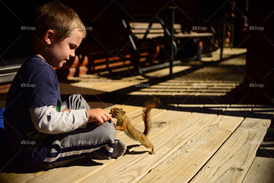 Boy Feeding a Red Squirrel