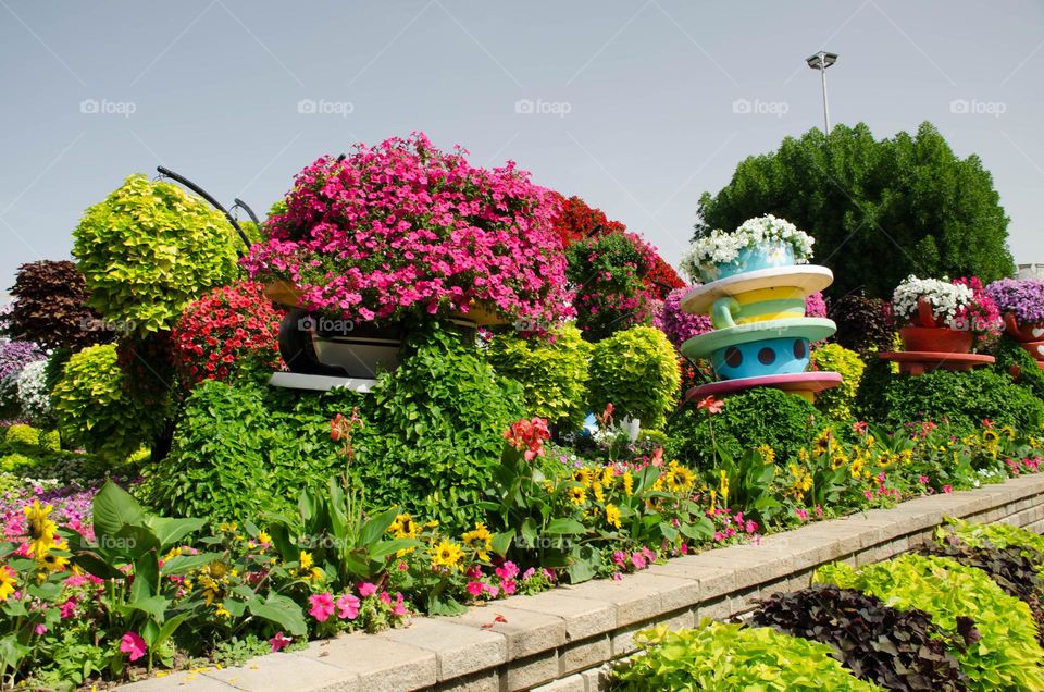 Urban Nature Plants, Dubai