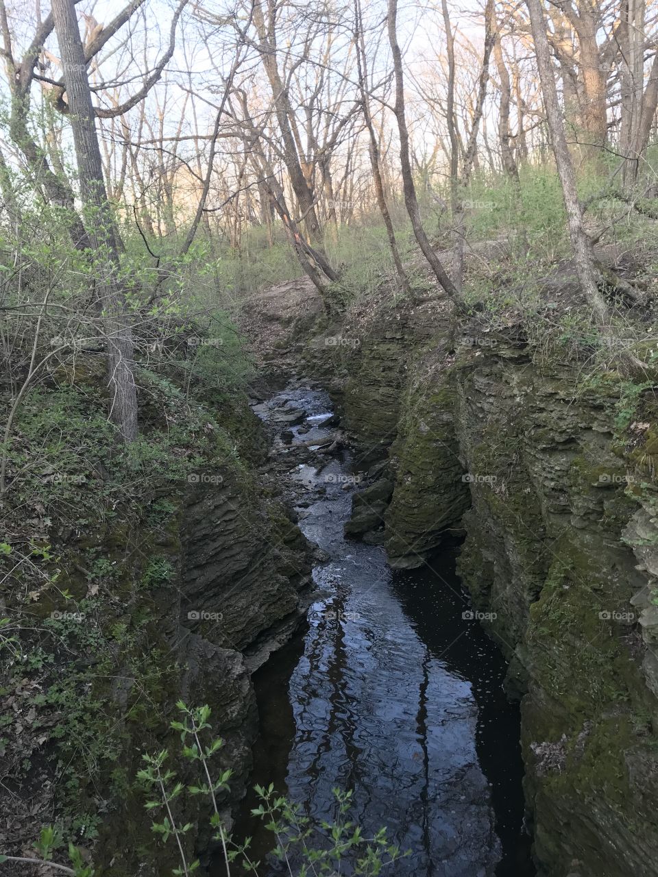 A creek at the bottom of a ravine near the Indian Caves hidden back between Perry Farm and the Kankakee River in Kankakee, IL.
