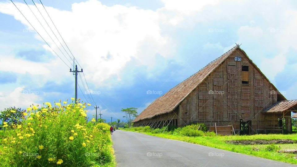 Traditional rice harvest storage house, Klaten district, Central Java, Indonesia