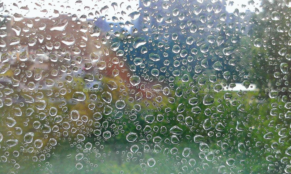 summer rain drops on glass