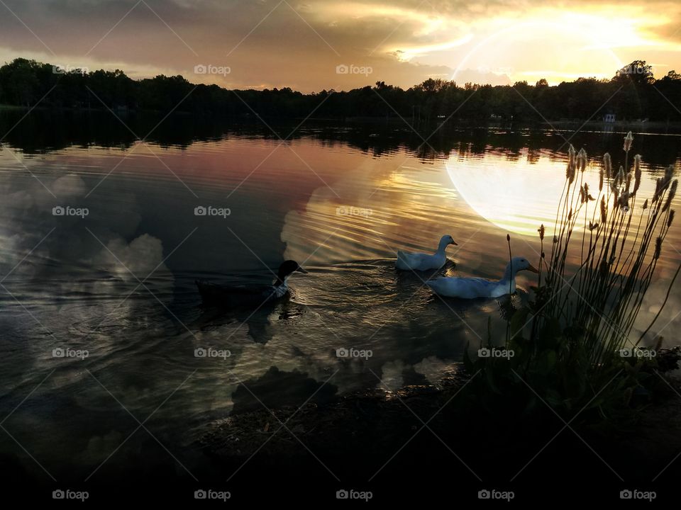 An evening stroll