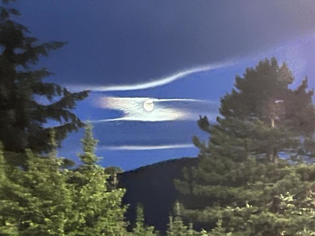 🌙