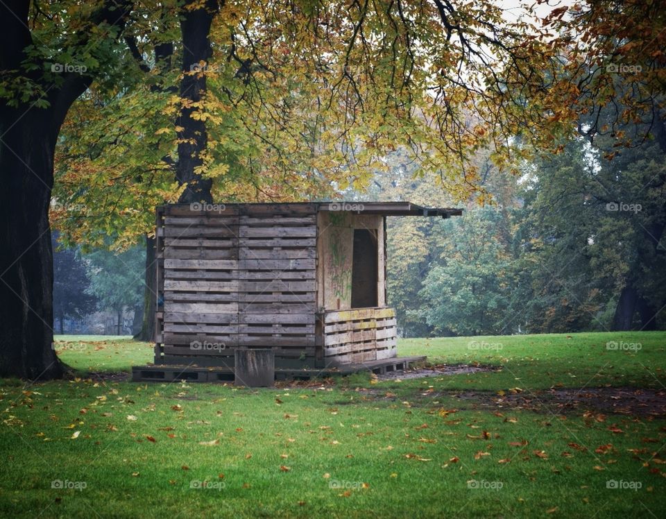 The hut in the park