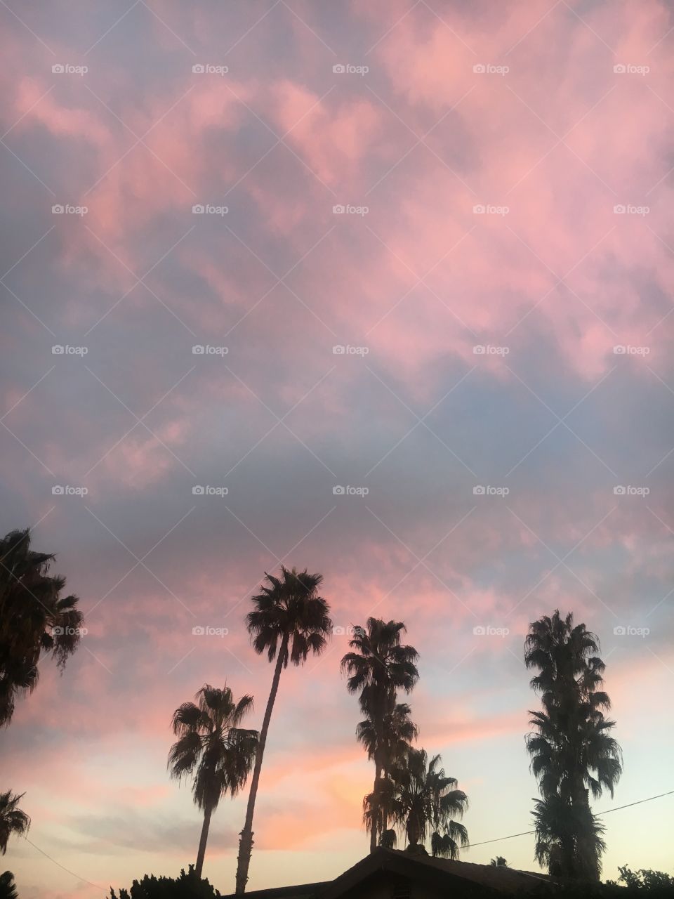 California Sunset