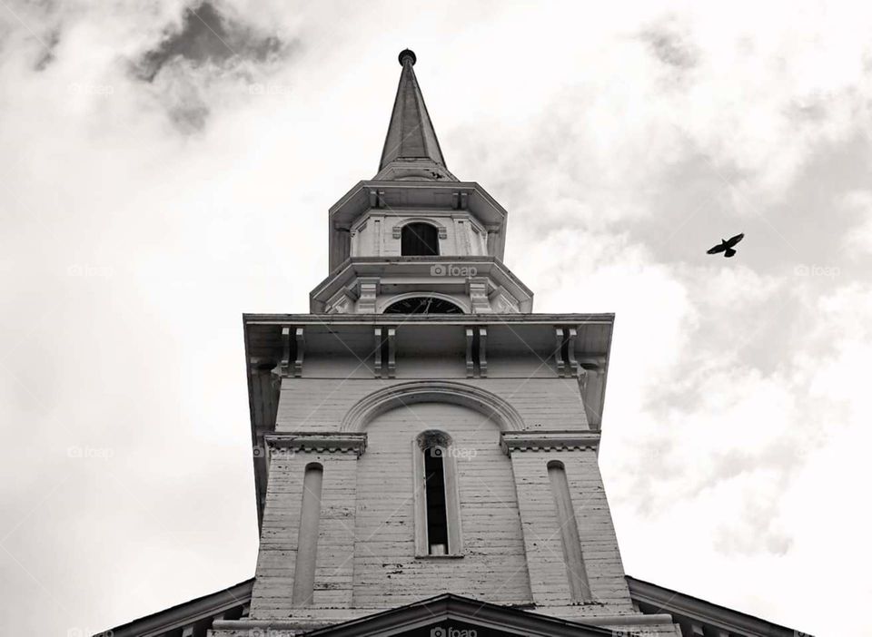 Steeple and the crow