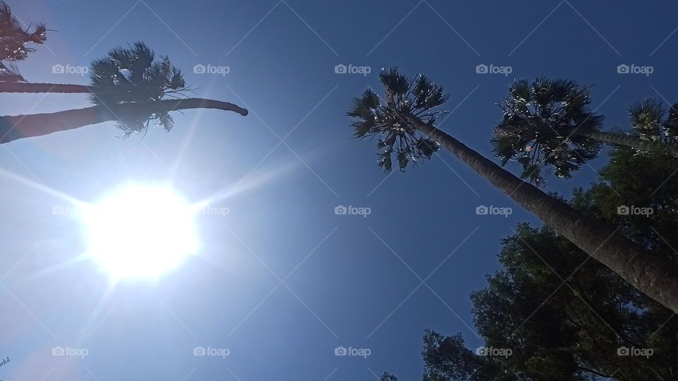 She is high, defying In Her Majesties