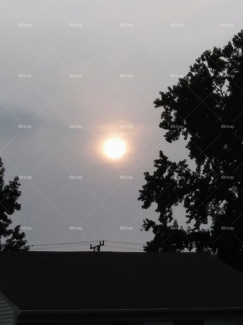hazy summer sunset