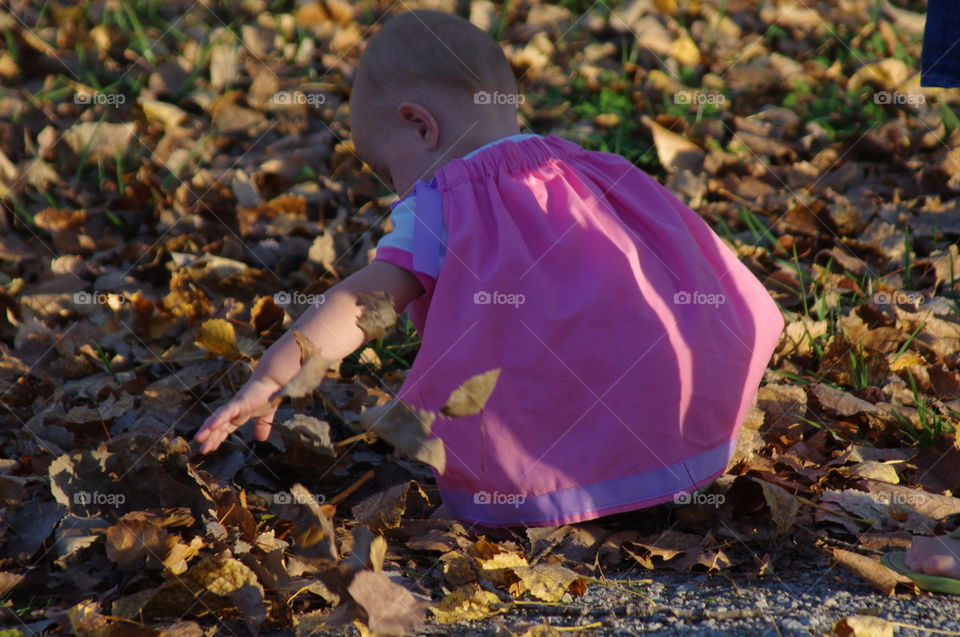 playing in the leaves