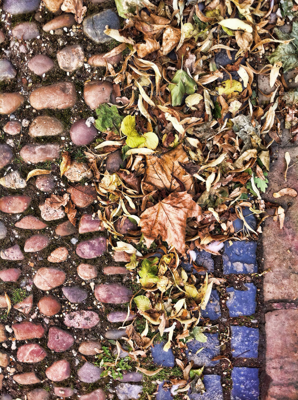 leaves stones uk textures by chris7ben