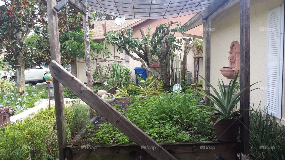 This elevated garden is actually on wheels and sits on my Uncle Chris' front porch.