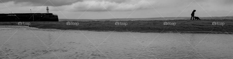 Dog walking on beach.