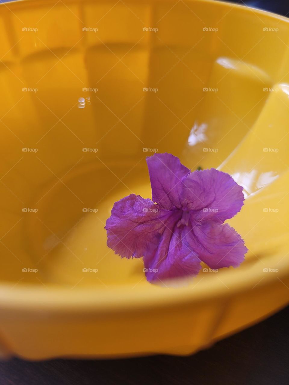 complementary colors