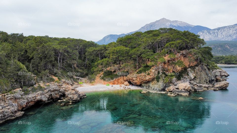 Forest on Lycian Way