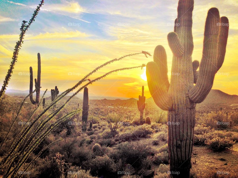 Usery Sunset. Desert Sunset in the Usery Mountains near Phoenix, Arizona USA