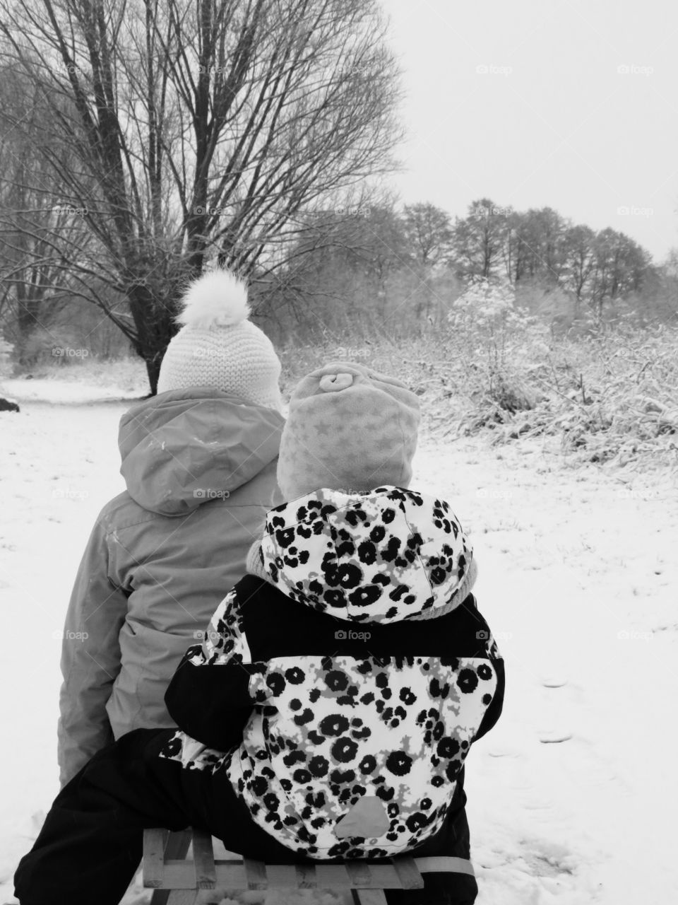 Auf geht's mit dem Schlitten durch den Schnee