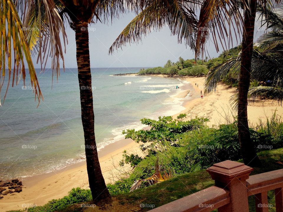 Beach side view from a balcony in Puerto Rico. 