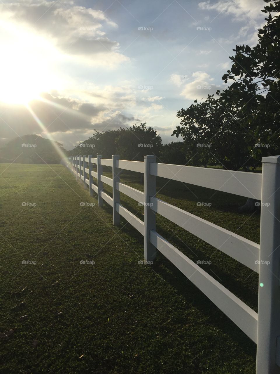 Sunset fence 