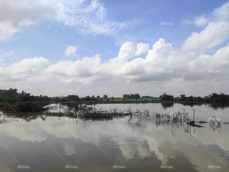 Clouds over rice field at Prey Veng Province Cambodia