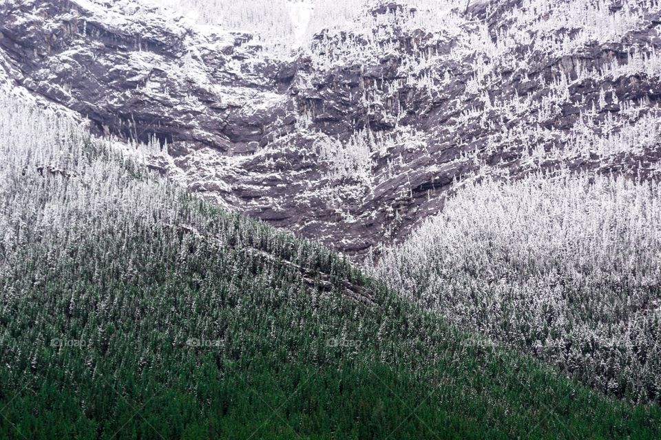 Canadian Rocky Mountains under new spring snow on stormy day
