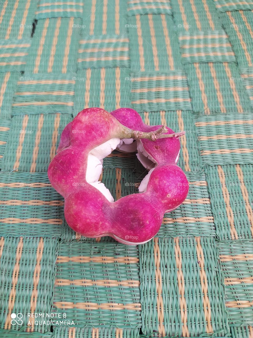 jungle jalebi also called pithecellobium natural sweet