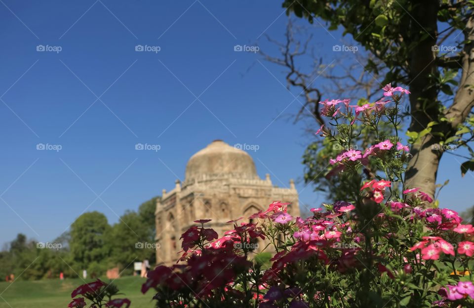 Lodhi Garden in Delhi.  Lodhi Garden in Delhi is spread in around 90 acres of land and is a perfect blend of natural and historical beauty and there are several ancient architectural monuments in the park.