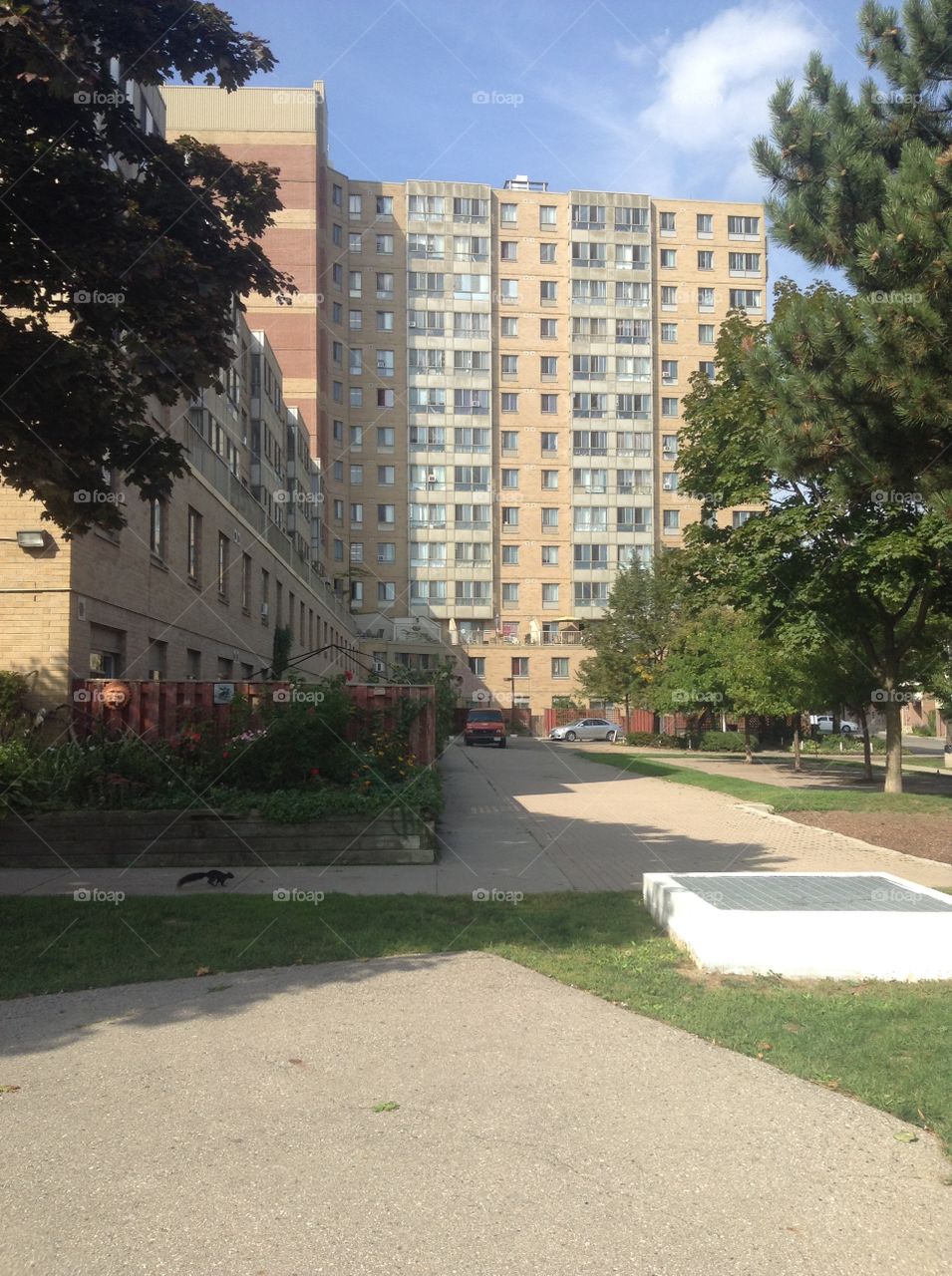 Subsidized cooperative housing in Toronto