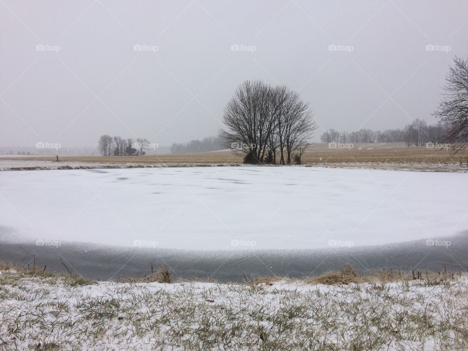 Frozen pond