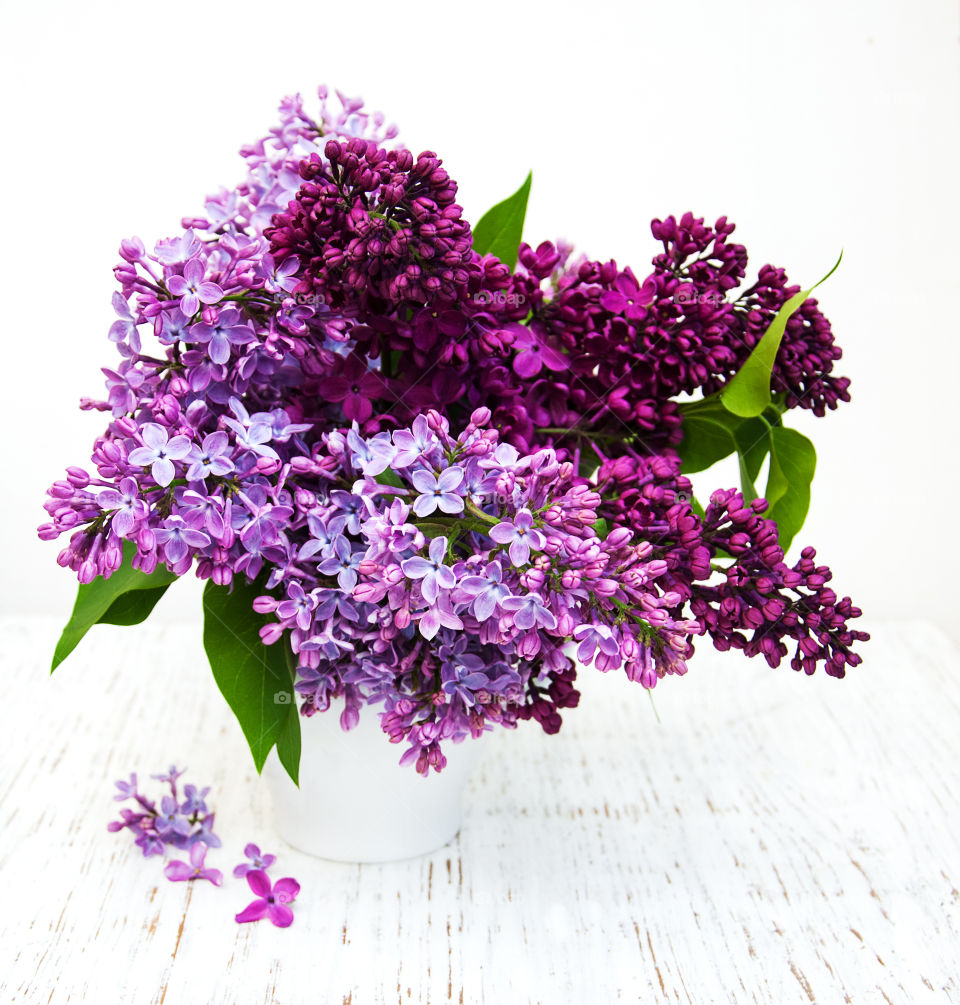 Lilac flowers 