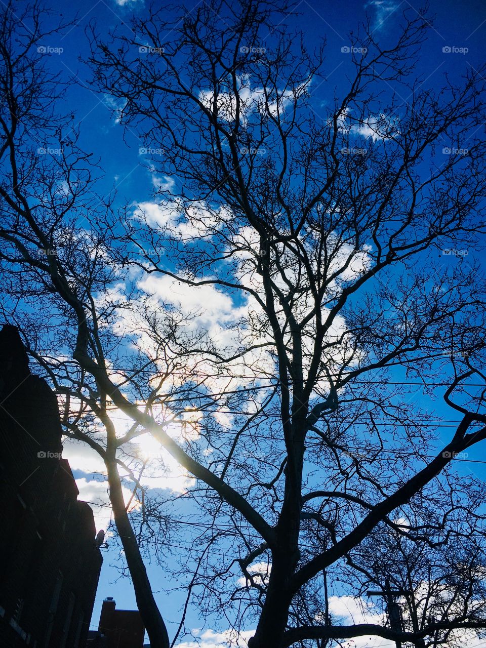 Beautiful scene winter nyc brooklyn sky cloudy