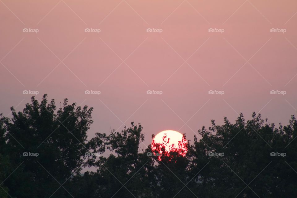 Red sun over the trees against a colorful sky