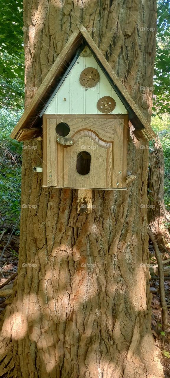 Birdhouse in the Woods