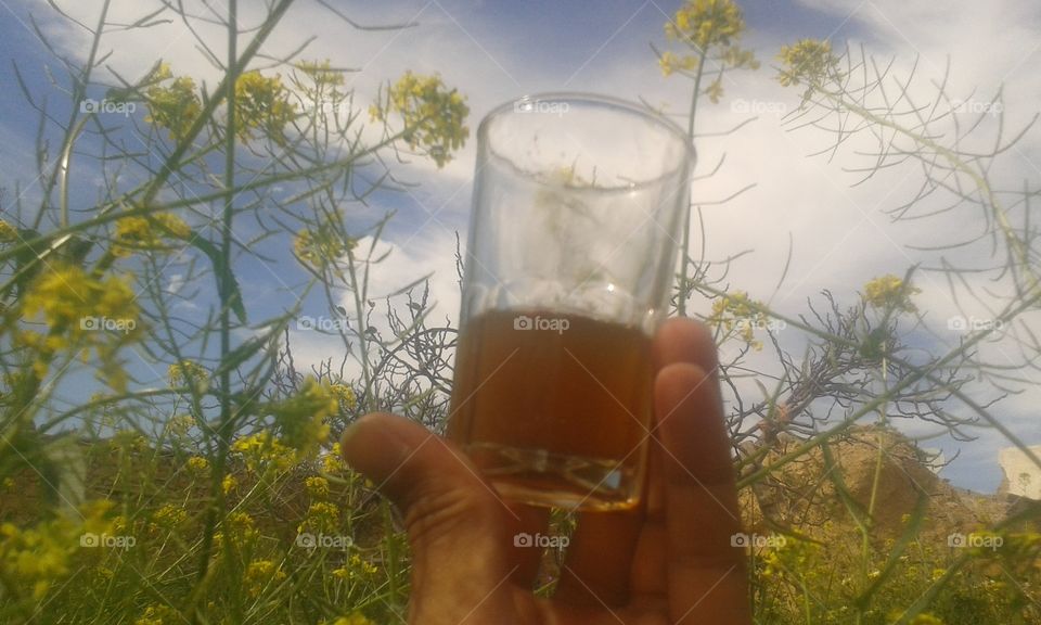 الشاي والطبيعة الخلابة بإدوتنان نواحي اكادير المغرب