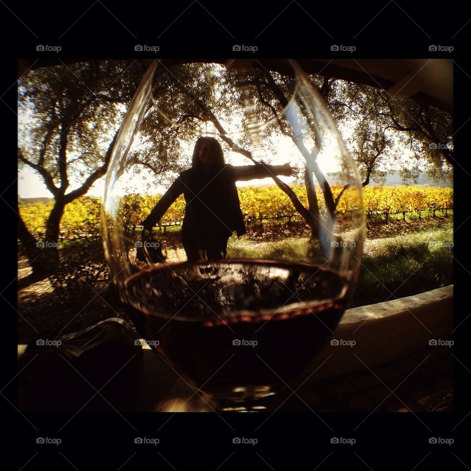 Through Looking Wine Glass