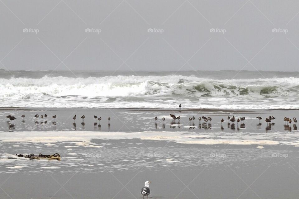 At the Beach