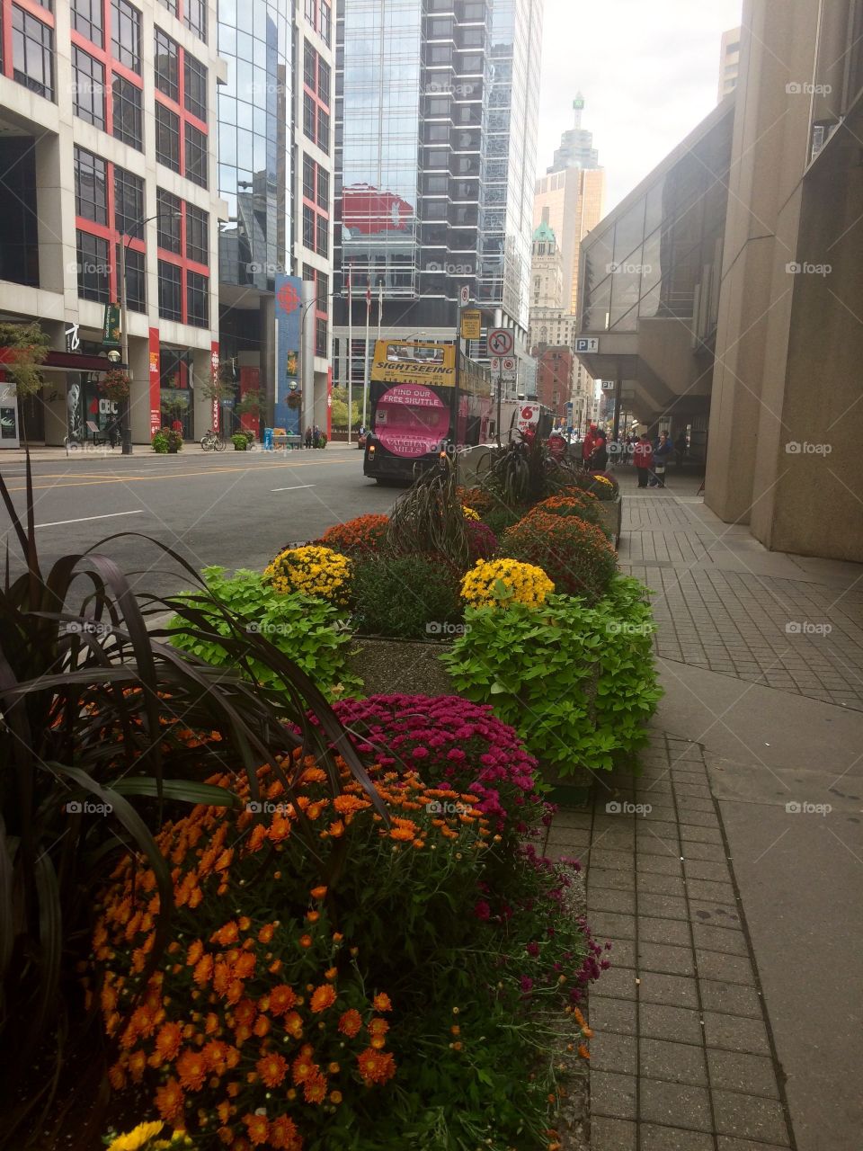 Urban design with beautiful flowers