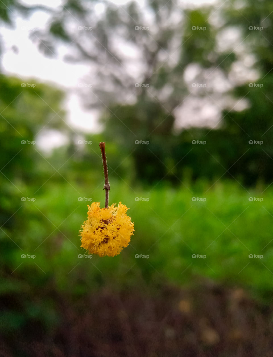 The power of shutter speed🤓🤓🙂