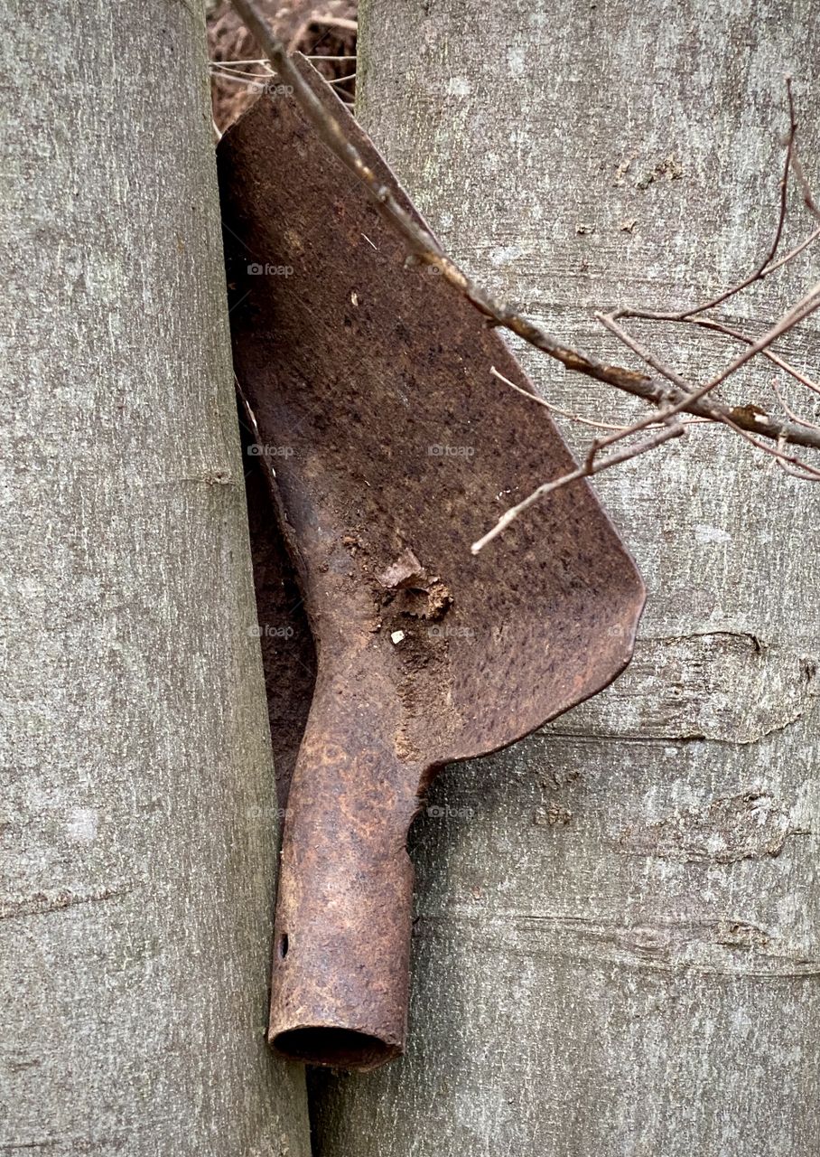 Shovel between two trees