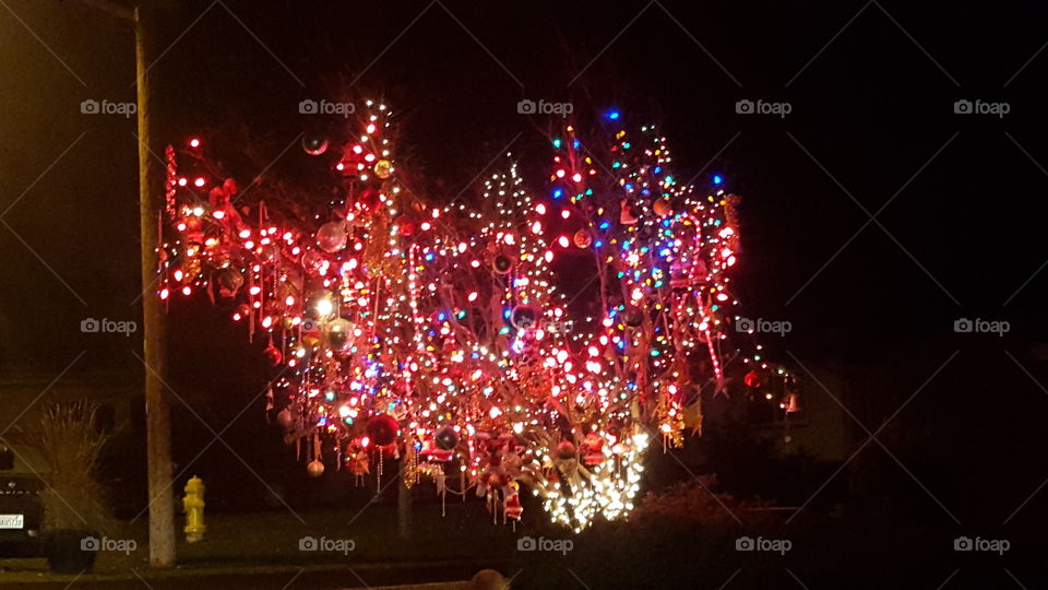 Christmas barfed on my tree