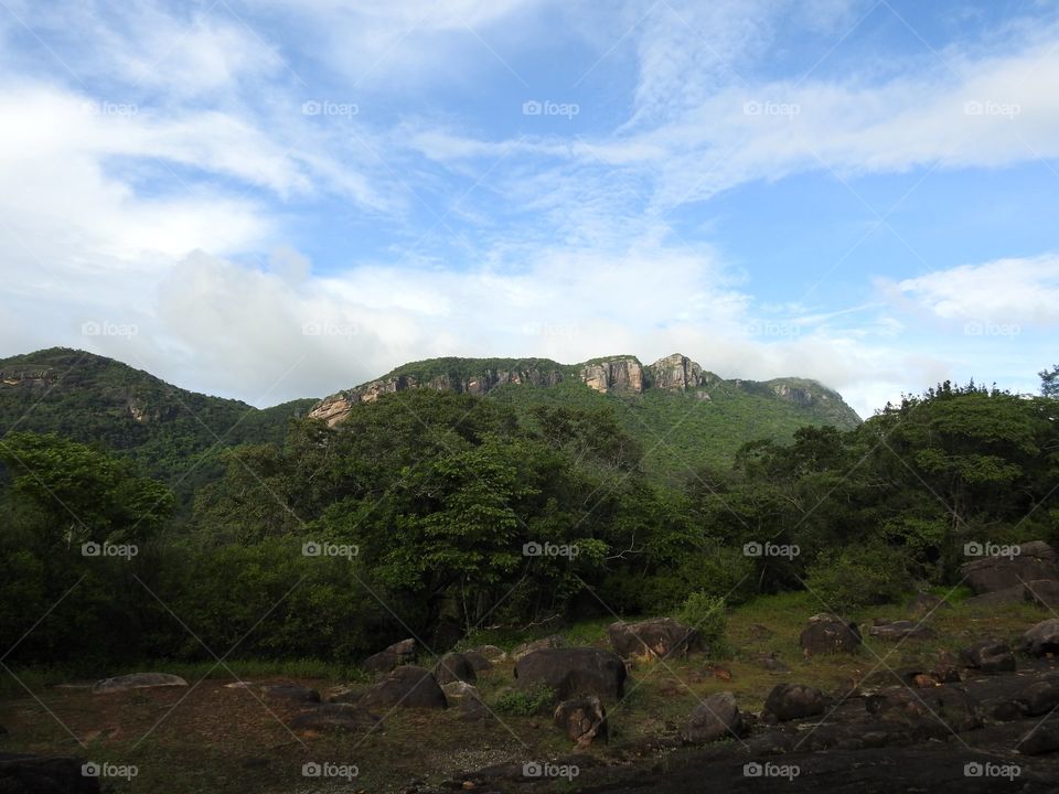 Early morning view of the mountain and the forest # coulds design