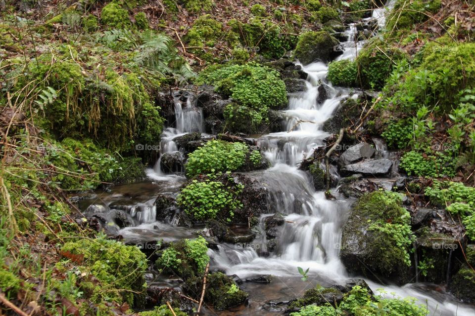 Double waterfall in Exmoor forest