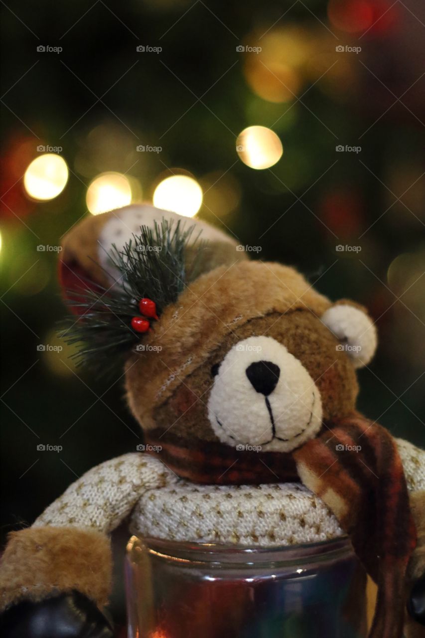 Christmas bear!