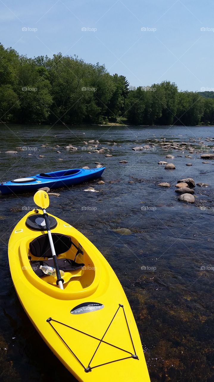 A summer Kayak Trip. Went kayaking on Memorial day and found this shallow spot of the Delaware River.