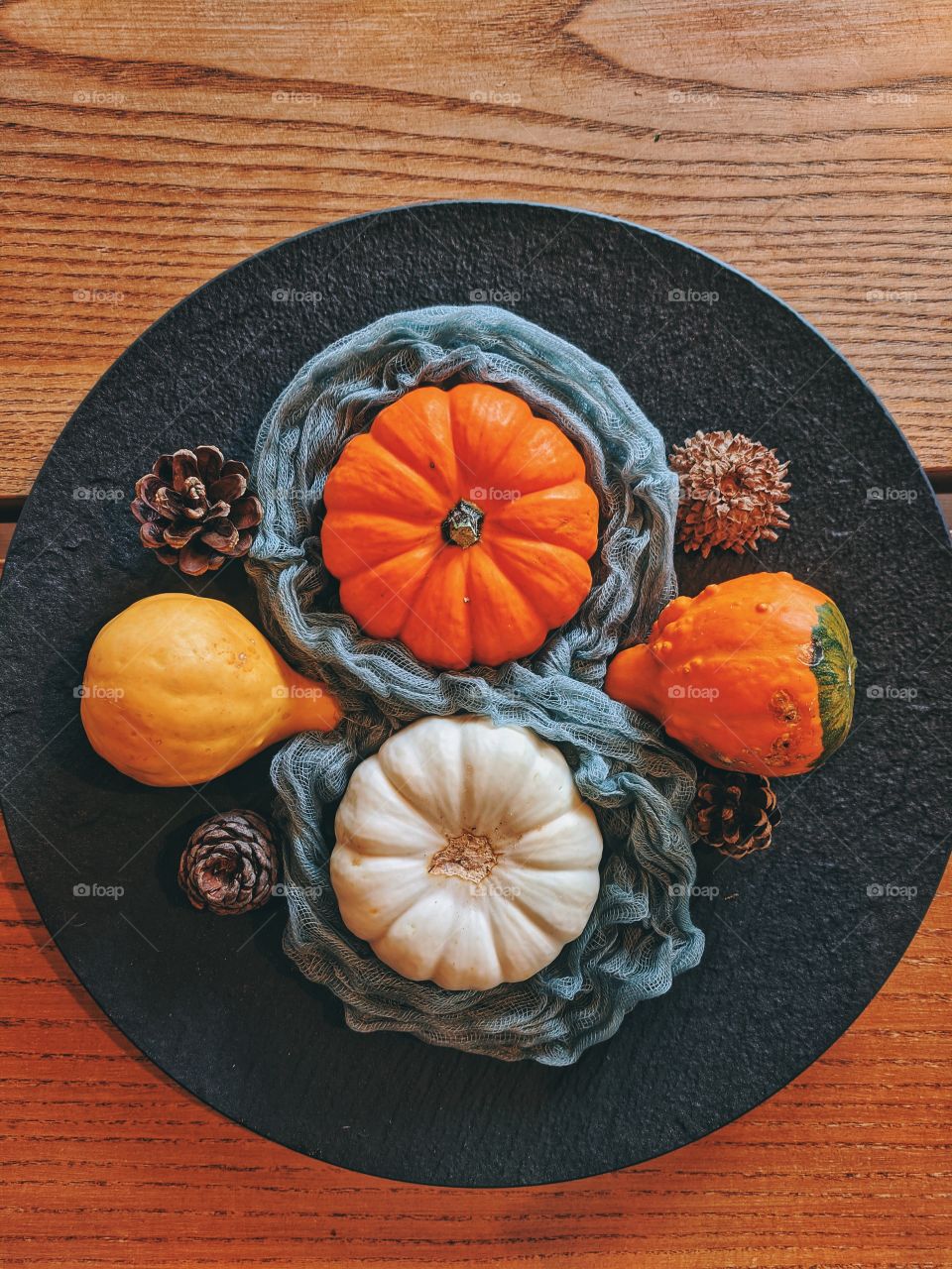 Background of small colorful pumpkins in the dark plate close up. Top view. Flat lay.