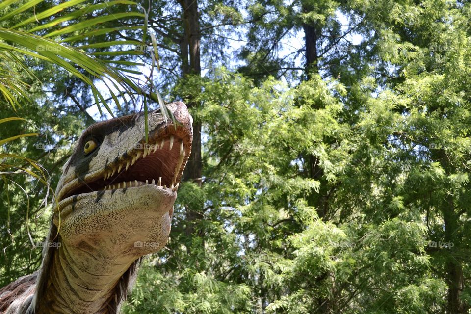 Close-up of dinosaur head with teeth showing and trees in the background