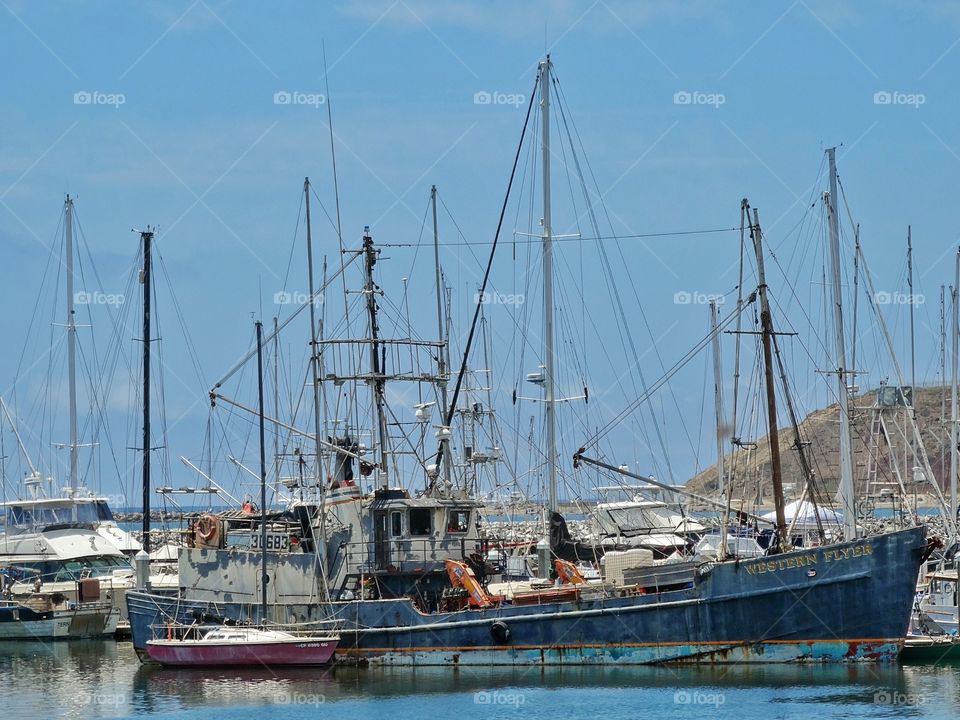 Ships At Anchor. Ships Safely Anchored In A Harbor
