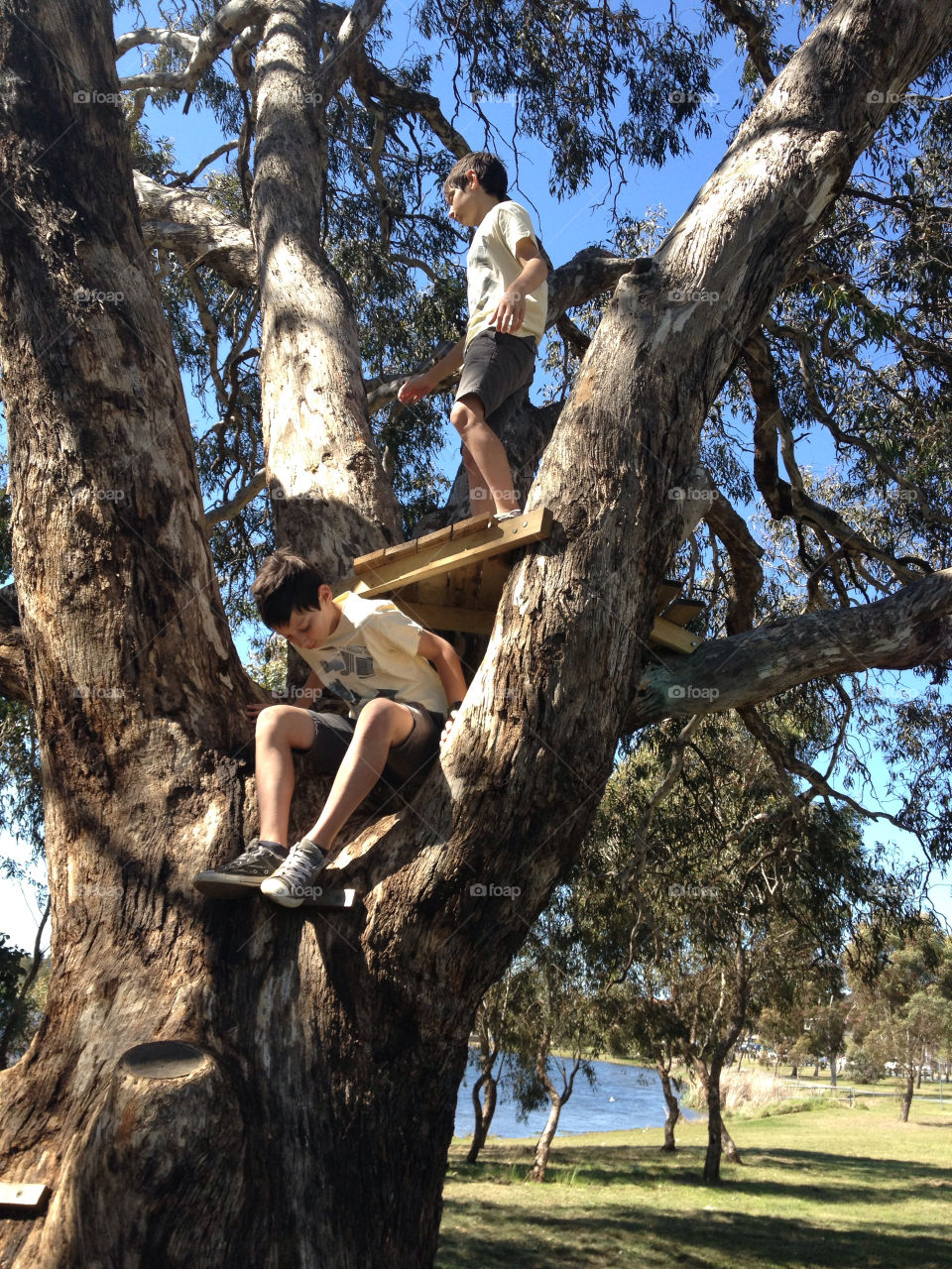 nature children tree fun by splicanka